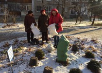 Активисты ТОС центра Сормова и микрорайона Вождей революции проявили заботу