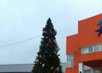 Владимир Амельченко помог установить новогоднюю ель в микрорайоне «Северный»