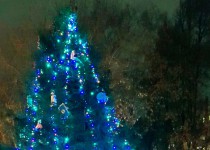 Елена Аржанова организовала установку новогодней елки в Ковалихинском сквере