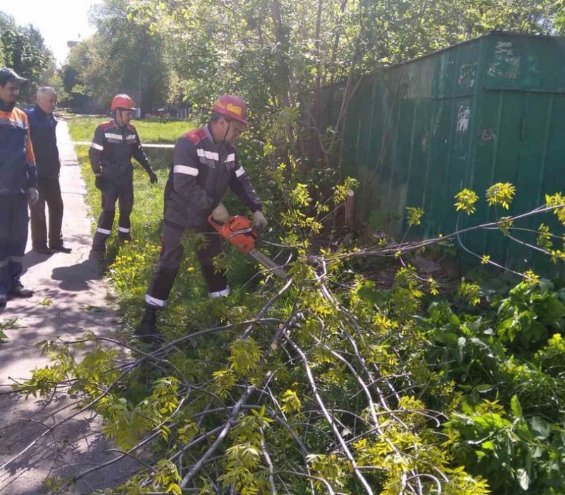 Владимир Аношкин помог детскому саду Автозаводского района убрать упавшее дерево