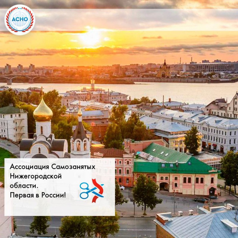 Молодежная палата Нижнего Новгорода выступила соорганизатором региональной ассоциации самозанятых
