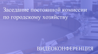 Прямая трансляция заседания постоянной комиссиии по городскому хозяйству 27.06.2020