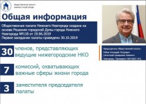 Олег Лавричев принял участие в заседании Общественной палаты Нижнего Новгорода