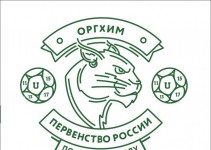 Крупнейший в России юношеский чемпионат по мини-футболу пройдет при поддержке Молодежной палаты Нижнего Новгорода