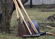 Комиссия по экологии обсудит подготовку Нижнего Новгорода к весенне-летнему сезону