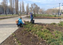 5c1e58dd-6146-4197-91c2-ccab5e2f0f08