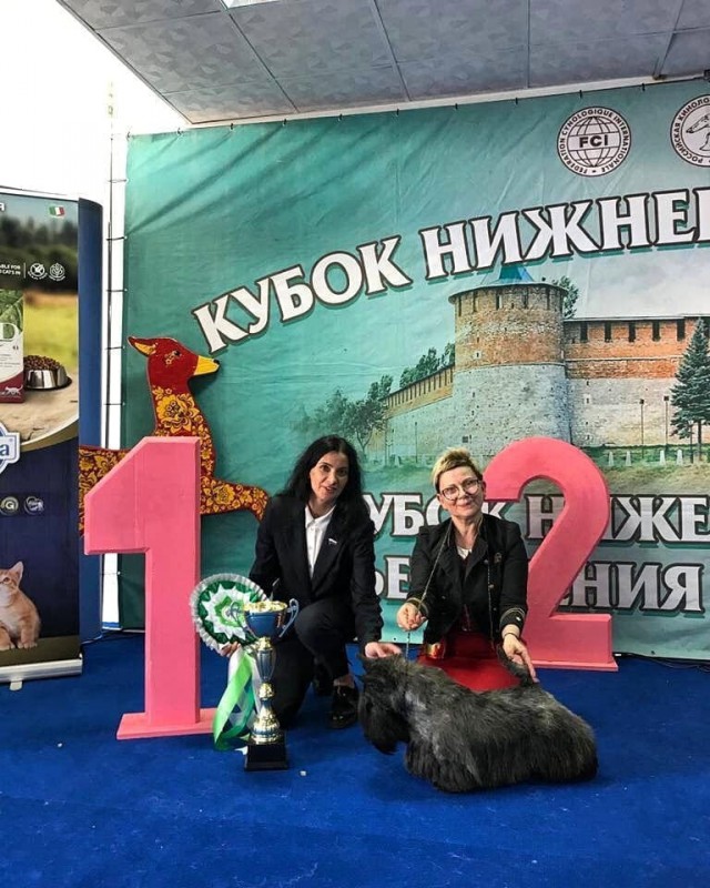 Татьяна Гриневич поздравила участников выставки собак всех пород – «Кубок Нижнего Новгорода – 2021»