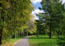 Меры предотвращения пожаров в лесопарковых зонах обсудят депутаты городской Думы