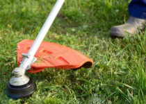 Депутаты предложили детально проработать изменения в Правила благоустройства, касающиеся покоса травы на городских газонах