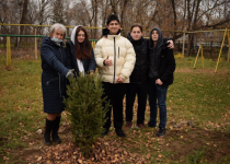 В Нижнем Новгороде завершился социальный экологический проект «Хвойный город»