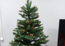 Ёлочка-красавица в подарок Соседским центрам Сормовского района