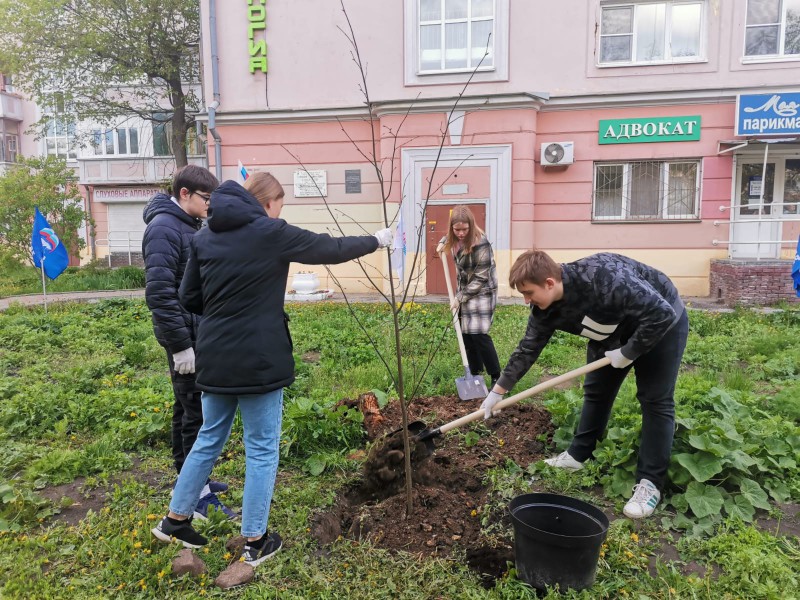 Сад памяти в ТОС № 6