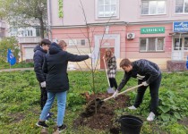 Сад памяти в ТОС № 6