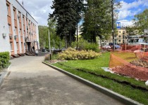 2022-05-19 14.38.52.HEIC