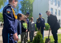 Михаил Иванов посадил во дворе школы №78 туи в память о павших в годы войны