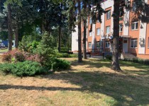 2022-05-19 14.38.52.HEIC