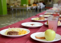 Депутаты городской Думы одобрили предоставление бесплатного питания в школах прибывшим из ДНР и ЛНР детям