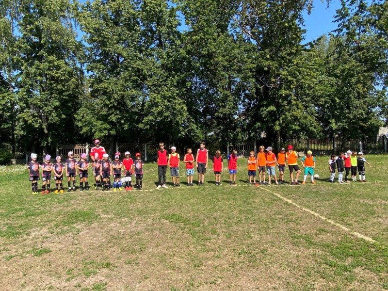 В посёлке Новое Доскино прошел турнир для детей по мини — футболу