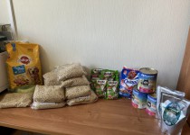 Акция «Лучший друг»