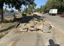 2022-08-04 11.46.03.HEIC