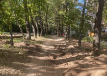 2022-06-08 15.28.56.HEIC