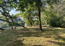 2022-08-03 14.15.43.HEIC