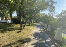 2022-05-19 13.56.12.HEIC