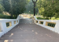 2022-05-19 13.55.50.HEIC