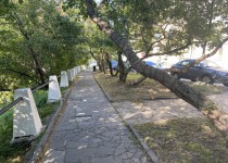 2022-05-19 13.55.09.HEIC