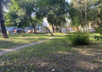 2022-05-19 13.55.09.HEIC