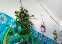 На территории ТОС №10 «Мончегорский» прошла литературно-игровая программа для детей «В гостях у сказки»