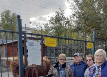 Международный день пожилых людей в ТОС центра Сормова и микрорайона Вождей революции