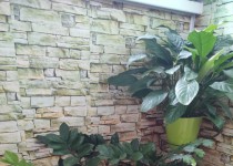 Комнатные растения и цветы — небольшой уголок живой природы в нашем доме в ТОС им. Н.А.Зайцева