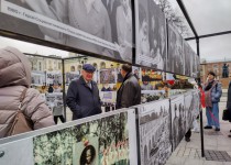 WhatsApp Image 2022-11-03 at 10.54.45