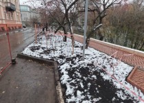 2022-08-03 14.15.48.HEIC