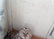 Неравнодушные люди живут и работают в Московском районе!