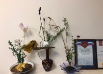 Подготовка к новому году в клубе «Икебана» при ТОС центра Сормово и микрорайона Вождей революции