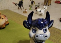 Совет ТОС «Орджоникидзе» возобновил реализацию проекта «Цикл частных персональных выставок»