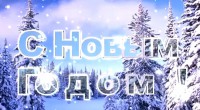 Новогоднее поздравление от депутатов городской Думы Нижнего Новгорода