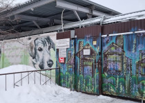 Елена Аржанова оказала помощь приюту благотворительного фонда «Сострадание НН»