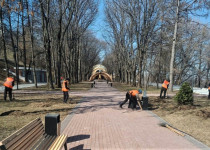 Депутаты городской Думы предложили усилить контроль за вывозом мусора после субботников