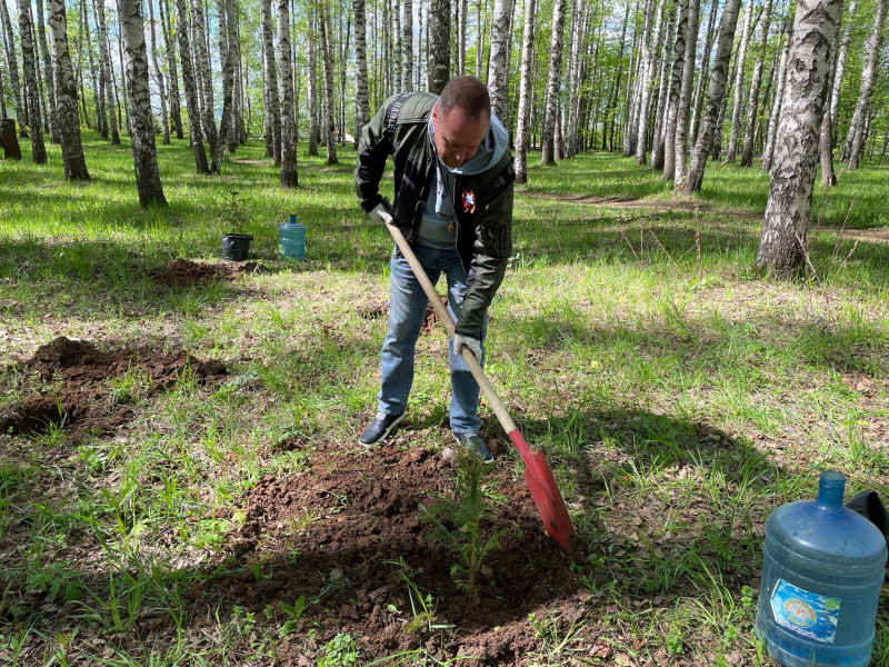 Николай Чернышов высадил деревья в парке «Швейцария» в рамках акции «Сад Памяти»