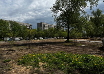 image-11-05-23-03-49-3