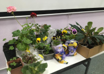 Активные жители ТОС № 5 приняли участие в беседе по цветоводству «Удачный сад»