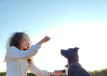 Международный День собак в ТОС им. Н.А.Зайцева