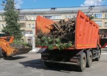 55 аварийных деревьев на территории 14 дошкольных учреждений было спилено при поддержке Карима Ибрагимова