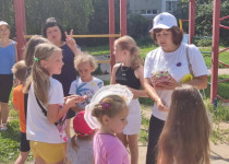 На территории ТОС № 5 проведена игровая программа для детей