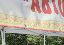 Активисты ТОС № 7 приняли участие в выставке творческих работ ко Дню города