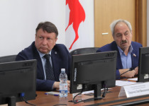 Депутаты ознакомились с оперативными данными по исполнению доходной части бюджета Нижнего Новгорода