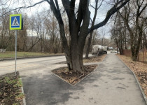 ул.Голубева (14)